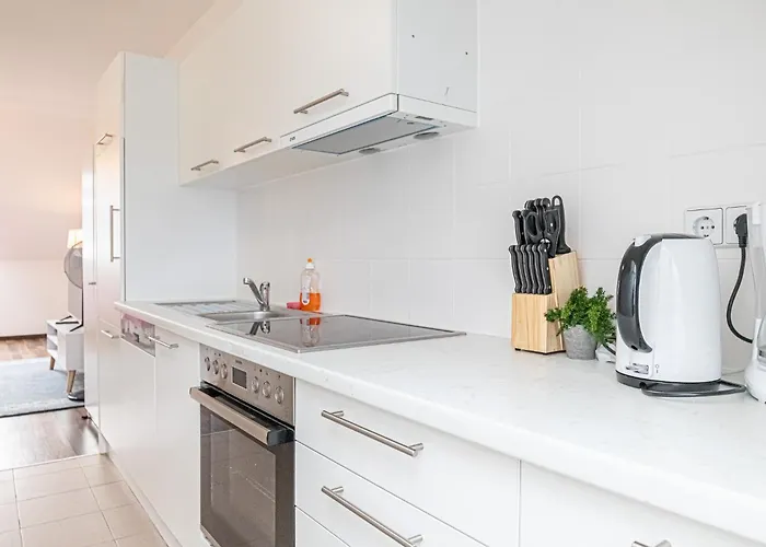 Airy Attic Apt.: Stylish At Penzing Area *